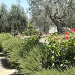 Dell'olio * Koilás