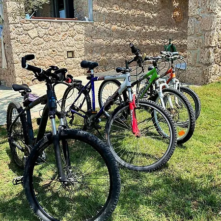 Βίλα Dell'olio *