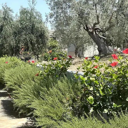 Dell'olio * Κοιλάδα